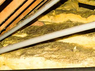 Insulation Removal | Attic Cleaning San Rafael, CA Insulation Removal | Attic Cleaning San Rafael, CA