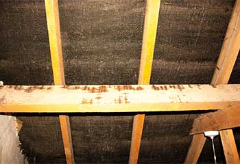 Attic Insulation | Attic Cleaning San Rafael, CA